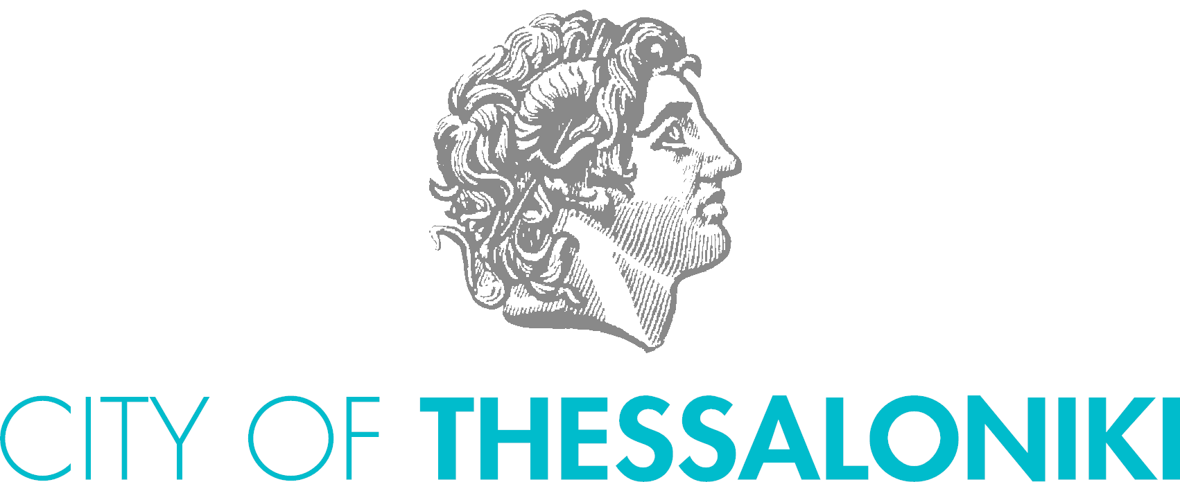 THES Logo